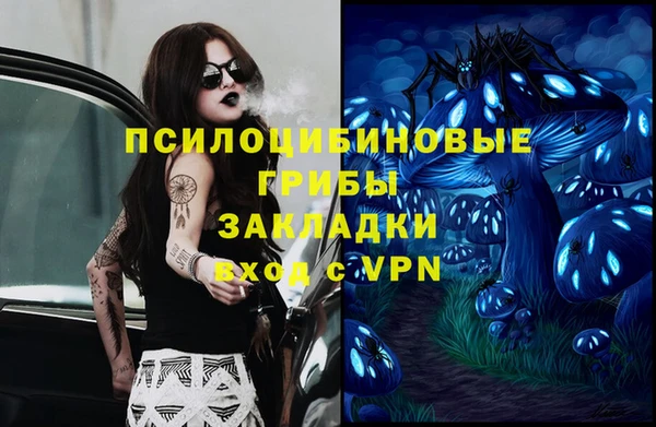 прущие крисы Балахна