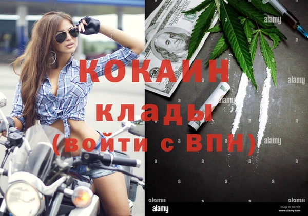 прущие крисы Балахна