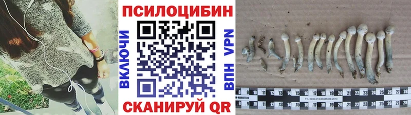 kraken сайт  Нерюнгри  сайты даркнета телеграм  Галлюциногенные грибы мухоморы 